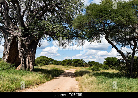 Baobab & Road Banque D'Images