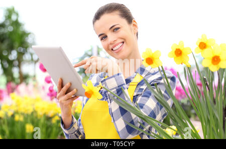 Smiling woman in jardin de fleurs jonquilles de l'écran tactile de tablette numérique, le ressort et la recherche sur le concept de floraison Banque D'Images