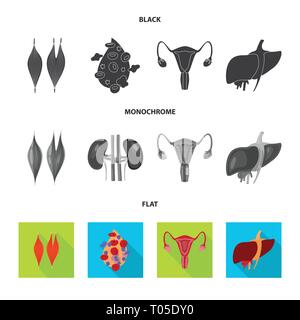 Sang, muscle, foie, organes urinaires,,système digestif,plasma,tissu,cell,vessie,corps,capot,excrétrice,don,femme,la douleur,la maladie,reproduction,sain,,moteur,musculosquelettiques ovaire,artères,striés,pression,utérine,hépatite,contraction,génétique,biologie,scientifique,recherche,,laboratoire anatomie,organe interne,,médical,des,santé,,set,icône,,illustration,collection,isolé,design,graphisme,élément vecteur vecteurs,signer , Illustration de Vecteur