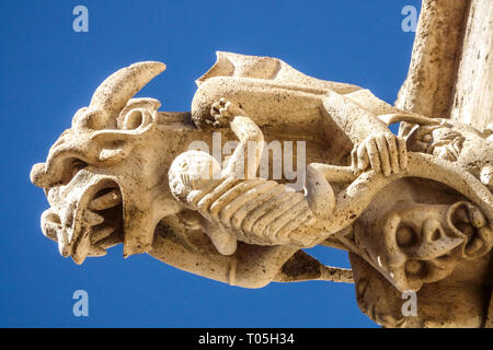 Gargouilles gothiques de la Lonja de la Seda Valencia Silk Exchange Art detail Espagne gargouille gothique Gargoyle médiéval gros plan Banque D'Images