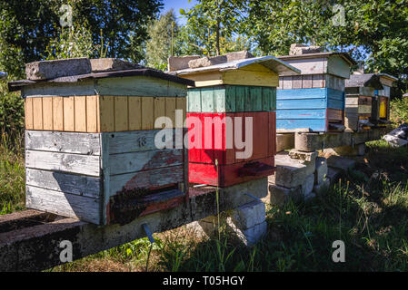 Les ruches en bois dans le jardin dans la région de Cachoubie Pologne Banque D'Images