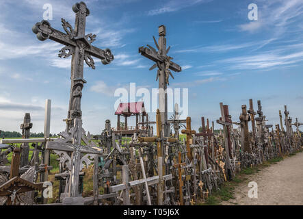 Croix de bois sur site de pèlerinage appelé colline des croix, Lituanie Banque D'Images