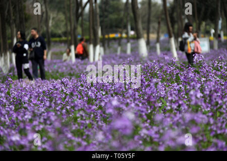 Nanjing, Jiangsu Province de la Chine. Mar 17, 2019. Les gens profiter du paysage du début du printemps à Nanjing, capitale de la province de Jiangsu, Chine orientale, le 17 mars 2019. Source : Xinhua/Zhongnan Sun/Alamy Live News Banque D'Images