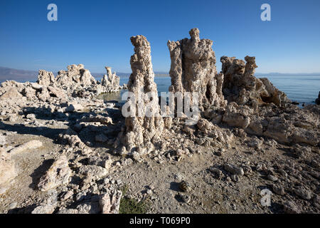 Groupes de tuf calcaire des tours dans le tuf du Sud, région du lac Mono, Mono County, Californie, Amérique Latine Banque D'Images