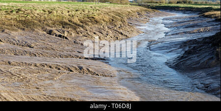 Berkeley Comp tidal creek à Berkeley Vale, Gloucestershire, Royaume-Uni Banque D'Images