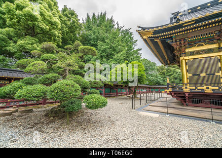 Ueno Tosho-gu temple shintoïste. Jardins de Shaden (Hall principal) Trésor National du Japon. Situé dans le parc Ueno, Taito Ward, Tokyo Banque D'Images