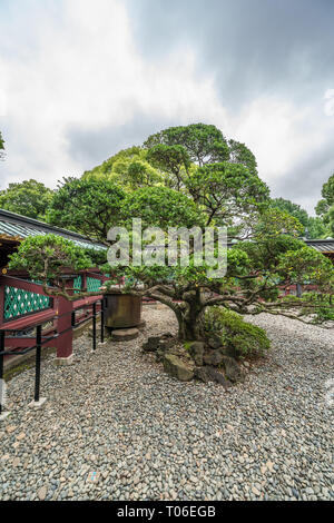 Ueno Tosho-gu temple shintoïste. Jardins de Shaden (Hall principal) Trésor National du Japon. Situé dans le parc Ueno, Taito Ward, Tokyo Banque D'Images