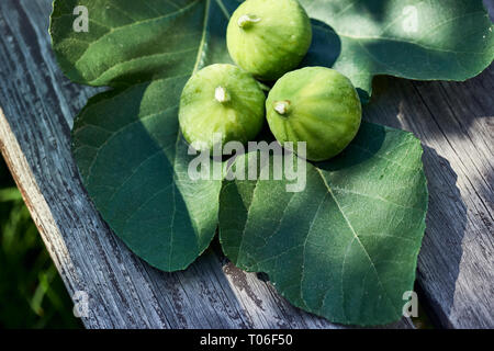 Trois figues fraîchement cueillies sur une feuille de vigne et un banc de bois soleil pommelé. Banque D'Images