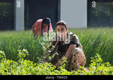 Heureux à la femme rurale dans l'agriculture sur le terrain d'une journée ensoleillée. Banque D'Images