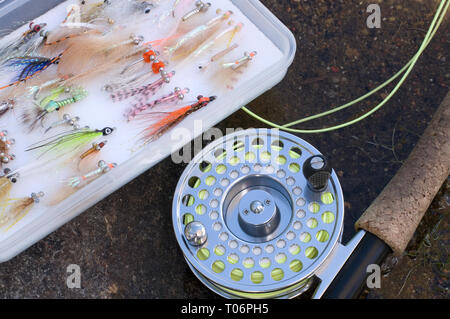 Belle Bobine de pêche à la mouche des mouches dans un coffre à pêche Banque D'Images