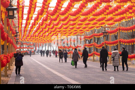 Luoyang, Henan/Chine- le 19 janvier 2019 : Grottes de Longmen est l'une des 3 grandes grottes bouddhistes de Chine, ce ici est décoré par la lanterne rouge avec Banque D'Images