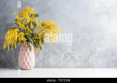 Mimosa dans un vase sur fond de mur de béton. L'espace de copie pour le texte. Concept de Printemps, Pâques. Still Life of flowers Banque D'Images