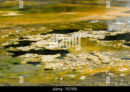 Terrasse colorée, dépôts de minéraux et d'algues provenant de sources chaudes, Emerald Terrace, grotte et parc thermal d'Orakei Korako, Rotorua Banque D'Images