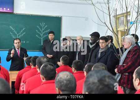 (190318) -- BEIJING, 18 mars 2019 (Xinhua) -- Les délégués des missions permanentes de huit pays de l'Office des Nations Unies à Genève visite d'une plantation et à la classe agricole et l'enseignement professionnel Centre de formation à la Préfecture de Hotan Comté Moyu, nord-ouest de la Chine, la Région autonome du Xinjiang Uygur, le 18 février 2019. (Xinhua/Ma Kai) Banque D'Images