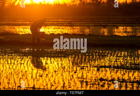 (190318) -- BEIJING, 18 mars 2019 (Xinhua) -- un agriculteur travaille au coucher du soleil dans un champ à Tuohaiyi Village dans la préfecture autonome kazakhe d'Ili, nord-ouest de la Chine, la Région autonome du Xinjiang Uygur, le 21 mai 2018. (Xinhua/Hu Huhu) Banque D'Images