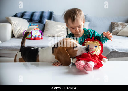 Chien avec un mignon caucasian baby girl. Prendre un chien beagle et morsure de poupée cute baby girl dans la salle de séjour. Copier l'espace. Banque D'Images