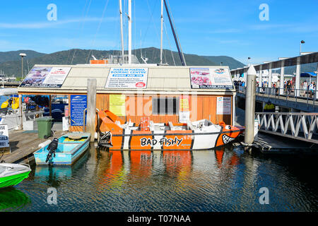 Cairns Marlin Marina Tours à quai, Far North Queensland, Queensland, Australie, FNQ Banque D'Images