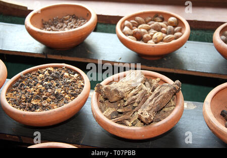 Close up d'ingrédients de traitement ayurvédique - épices, racines, noix, herbes aromatiques, Sri Lanka Banque D'Images