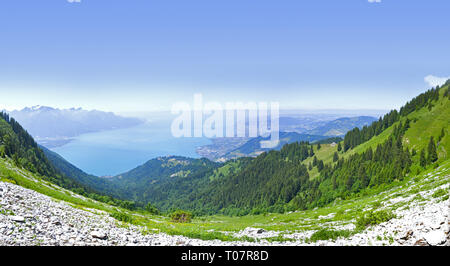 Sur les Alpes de pics, des rochers, des sentiers, des forêts et des montagnes qui entourent le lac de Genève en Suisse. Banque D'Images