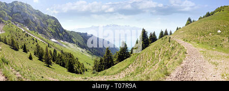 Sur les Alpes de pics, des rochers, des sentiers, des forêts et des montagnes qui entourent le lac de Genève en Suisse. Banque D'Images