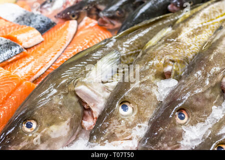 La morue fraîche et du saumon sur la glace pour la vente au marché aux poissons de Billingsgate à Londres peuplier Banque D'Images