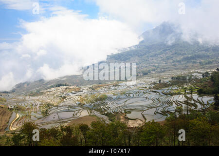 Terrasses de riz à Duoyishu dans endroit pittoresque site de l'UNESCO dans le Yunnan Yuanyang Banque D'Images