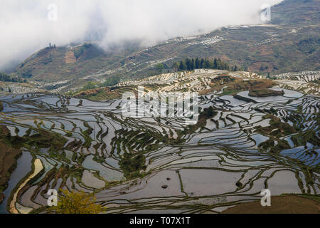 Terrasses de riz à Duoyishu dans endroit pittoresque site de l'UNESCO dans le Yunnan Yuanyang Banque D'Images