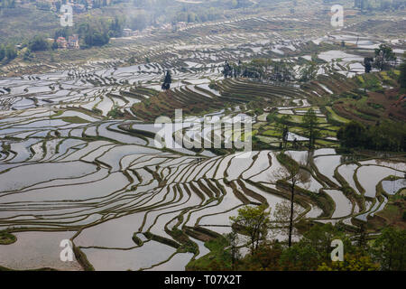 Terrasses de riz à Duoyishu dans endroit pittoresque site de l'UNESCO dans le Yunnan Yuanyang Banque D'Images