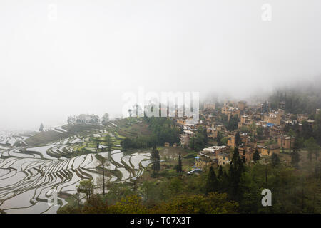 Terrasses de riz à Duoyishu dans endroit pittoresque site de l'UNESCO dans le Yunnan Yuanyang Banque D'Images