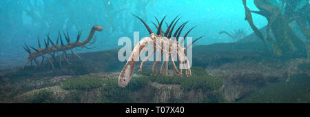 Hallucigenia, animaux aquatiques préhistoriques de la période cambrienne (3d paleoart illustration bannière) Banque D'Images