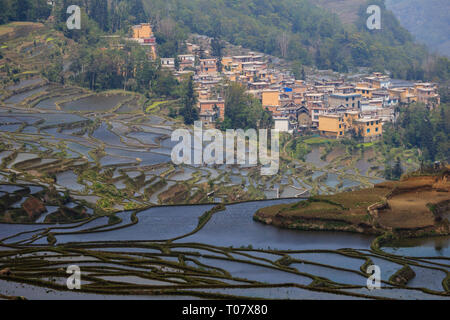 Terrasses de riz à Duoyishu dans endroit pittoresque site de l'UNESCO dans le Yunnan Yuanyang Banque D'Images