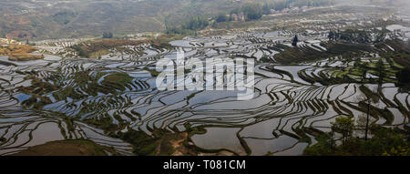 Terrasses de riz à Duoyishu dans endroit pittoresque site de l'UNESCO dans le Yunnan Yuanyang Banque D'Images