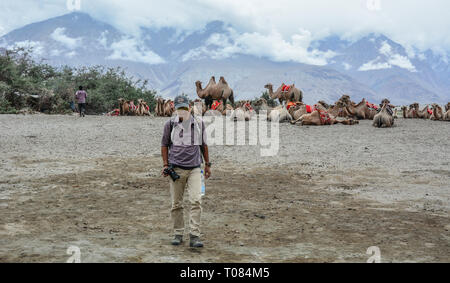 Le Ladakh, Inde - Juillet 19, 2015. Camel safari dans la vallée de Nubra du Ladakh, Inde. Le Ladakh est réputé pour sa beauté et la culture de montagne. Banque D'Images