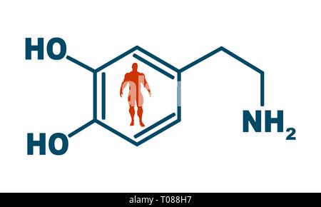 L'hormone formule la dopamine. Illustration de Vecteur