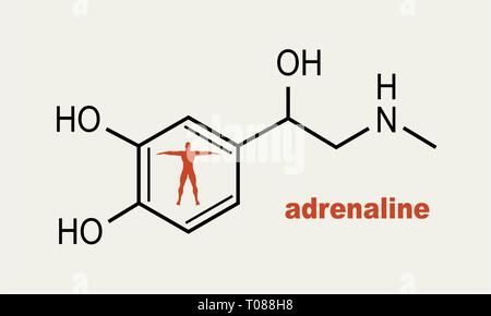 Adrénaline hormone formule. Illustration de Vecteur