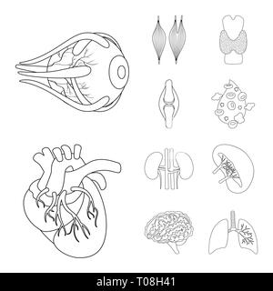 Muscle dorsal,oeil,os,sang,coeur,rein,,cerveau,oeil,pulmonaire organes,,moelle,plasma,tendon,cardiologie,esprit,urinaire trachée,ossature,system,meubles,don,psychologie,transplantation,coronaires,vue,respiratoire,la douleur,orgue,anatomie interne,médical,des,santé,biologie,scientifique,recherche,,laboratoire,set,icône,,illustration,collection,isolé,design,graphisme,élément signe,ligne,plan,vecteurs vecteur , Illustration de Vecteur