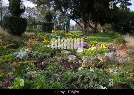 Jardin de printemps avec rocaille et bain d'oiseau en pierre Banque D'Images