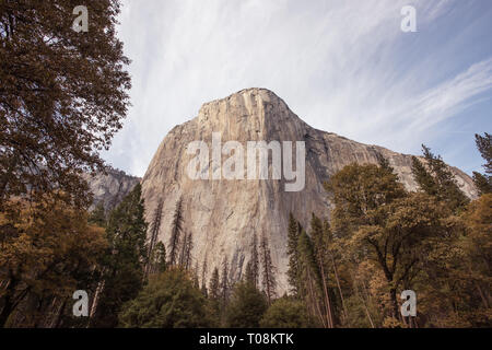 El Capitan est une formation rocheuse verticale in Yosemite National Park, situé sur le côté nord de la vallée Yosemite, près de son extrémité ouest Banque D'Images