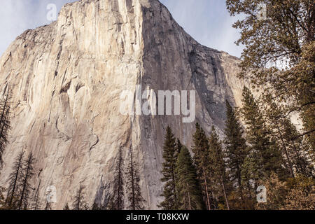 El Capitan est une formation rocheuse verticale in Yosemite National Park, situé sur le côté nord de la vallée Yosemite, près de son extrémité ouest Banque D'Images
