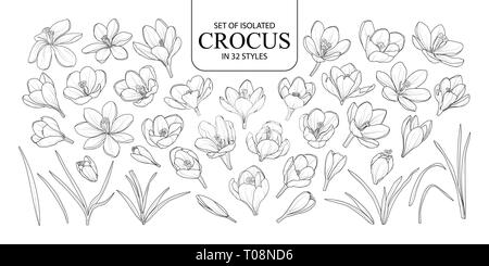 Ensemble de Crocus isolés dans 32 styles. Cute hand drawn vector illustration fleurs en contour noir et blanc avion sur fond blanc. Illustration de Vecteur