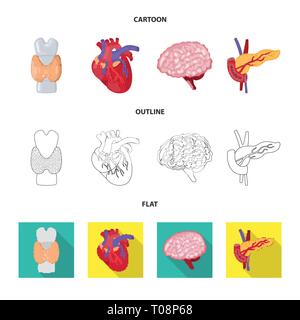 ,Dorsale,coeur,le cerveau,pancréas moelle,cardiologie,esprit,les,os,renseignement,cardiovasculaire diabète,muscle,,body,science,tube,meubles,psychologie,coronaires,os,,l'artère aorte,cancer,genius pericranium,alimentaire,massage,,idées,godronné tumeur,biologie,scientifique,recherche,,laboratoire anatomie,organe interne,,médical,des,santé,,set,icône,,illustration,collection,isolé,design,graphisme,élément vecteur vecteurs,signer , Illustration de Vecteur