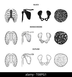 Nervure, fémur, hanche,ostéoporose,bassin,joints,cage,cell,tissu,rx,body,chirurgie pelvienne,dos,conjonctif,sain,cartilage sternum,,jambe,ossature,sternum,joints,calcium,appareil locomoteur système,bois flotté,tendon,mouvement,médecine,clinique,biologie,médical,os,,squelette anatomie,des,organes,,set,icône,,illustration,collection,isolé,design,graphisme,élément vecteur vecteurs,signer , Illustration de Vecteur