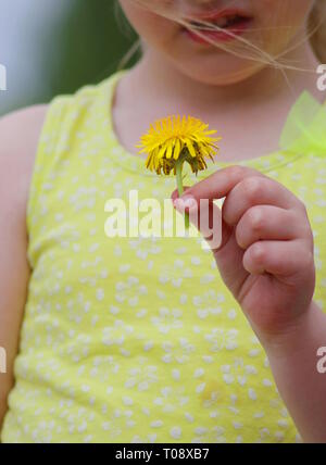 Un enfant tenant un pissenlit jaune dans sa main. Banque D'Images