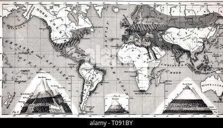 1849 Les Photos Carte mondiale des zones climatiques et des biomes Banque D'Images