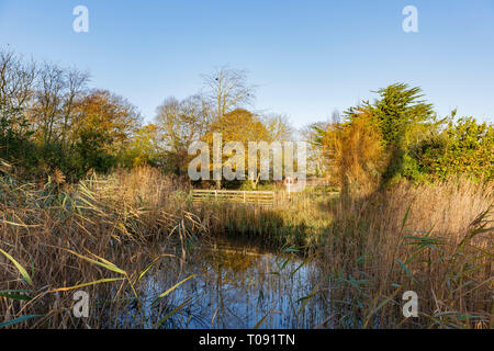 Voyageant dans le parc de Hotham, Bognor Regis, Royaume-Uni autour de matin Banque D'Images