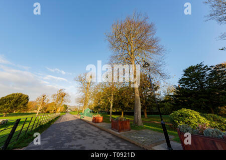 Voyageant dans le parc de Hotham, Bognor Regis, Royaume-Uni autour de matin Banque D'Images