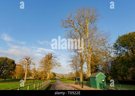 Voyageant dans le parc de Hotham, Bognor Regis, Royaume-Uni autour de matin Banque D'Images