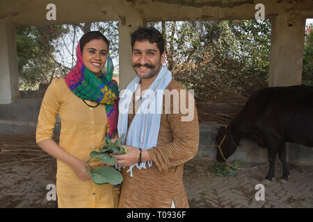 Heureux couple de producteurs laitiers dans leur enclos tenant des feuilles. Banque D'Images