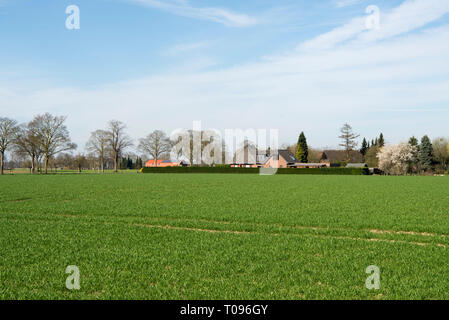 Deutschland, Nordrhein-Westfalen, Kreis Kleve, Winnekendonk, Streusiedlung Achterhoek Banque D'Images