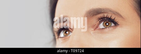 Belle macro oeil humain libre Banque D'Images